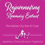 Nootie - Rejuvenating Rosemary Extract Shampoo