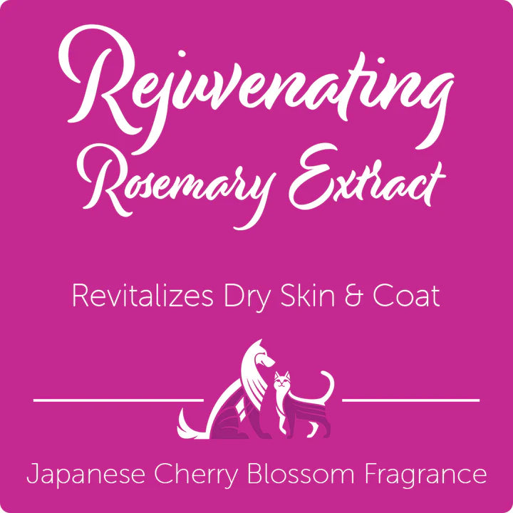 Nootie - Rejuvenating Rosemary Extract Shampoo