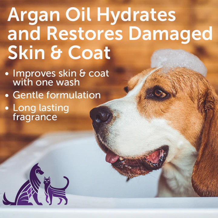 Nootie - Restoring Argan Oil Shampoo
