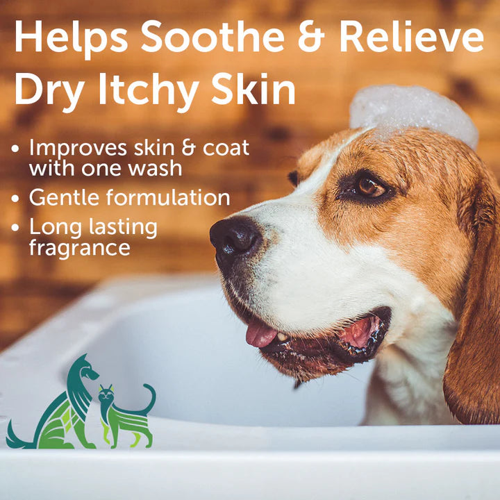Nootie - Soothing Aloe & Oatmeal Shampoo