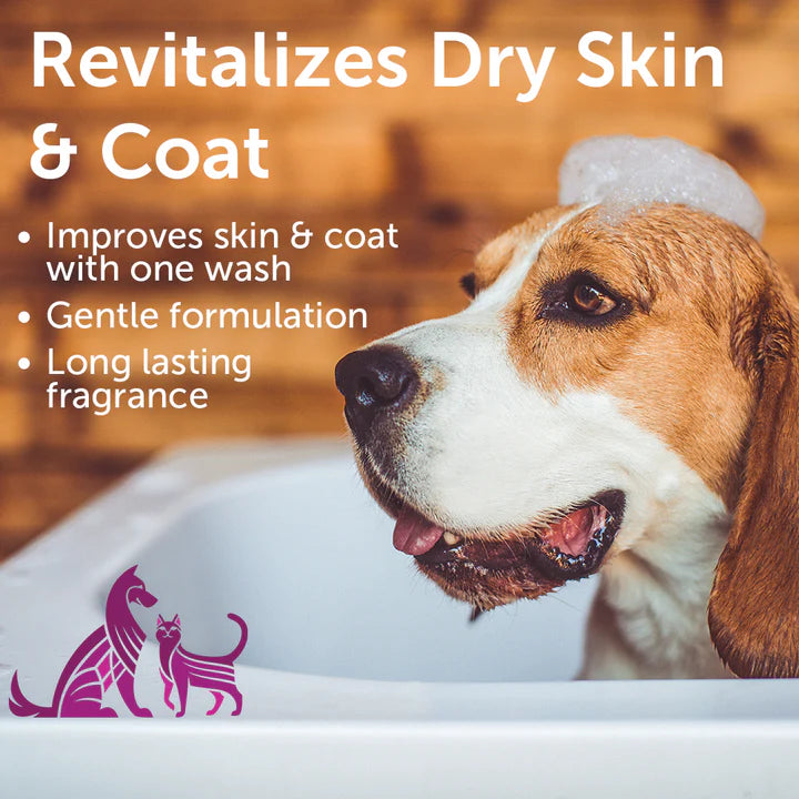 Nootie - Rejuvenating Rosemary Extract Shampoo