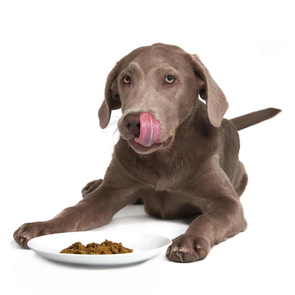 Smack - Very Berry Chicken Dog Recipe