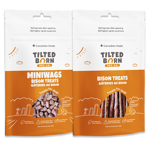 Tilted Barn - Bison MiniWags