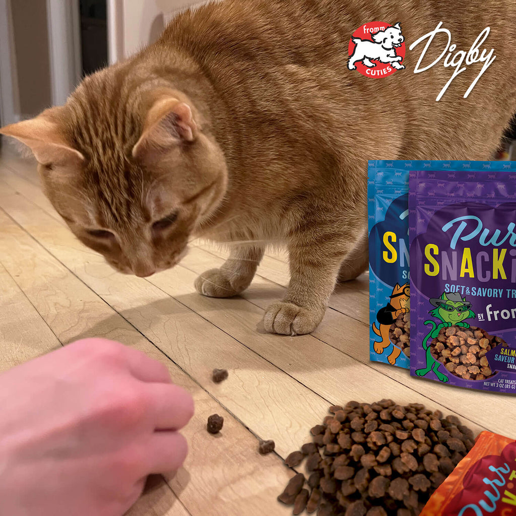 Fromm PurrSnackitty - Salmon Treats