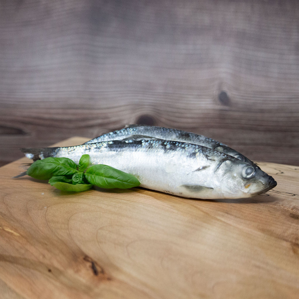 Big Country Raw - Herring