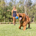 Chuck It - Ultra Squeaker Ball