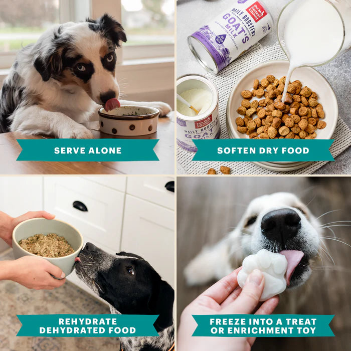The Honest Kitchen - Instant Goat Milk with Probiotics