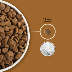 Acana - Highest Protein - Ranchlands