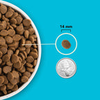 Acana - Highest Protein - Pacifica