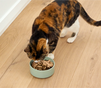 Open Farm Cat - Meal Topper - Salmon & Cod
