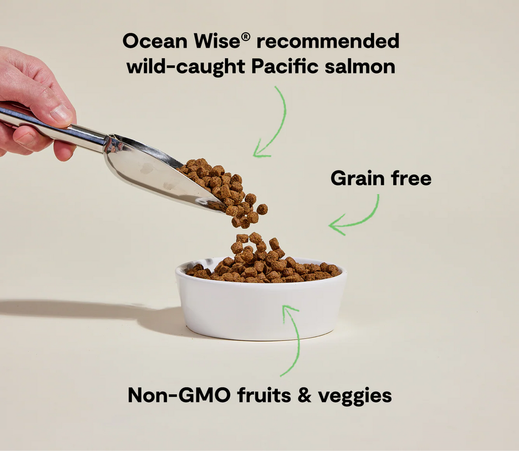 Open Farm - Wild Caught Salmon