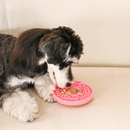 Hugsmart - Slow Feeder - Donut