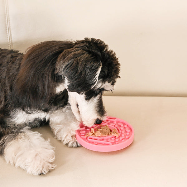 Hugsmart - Slow Feeder - Donut