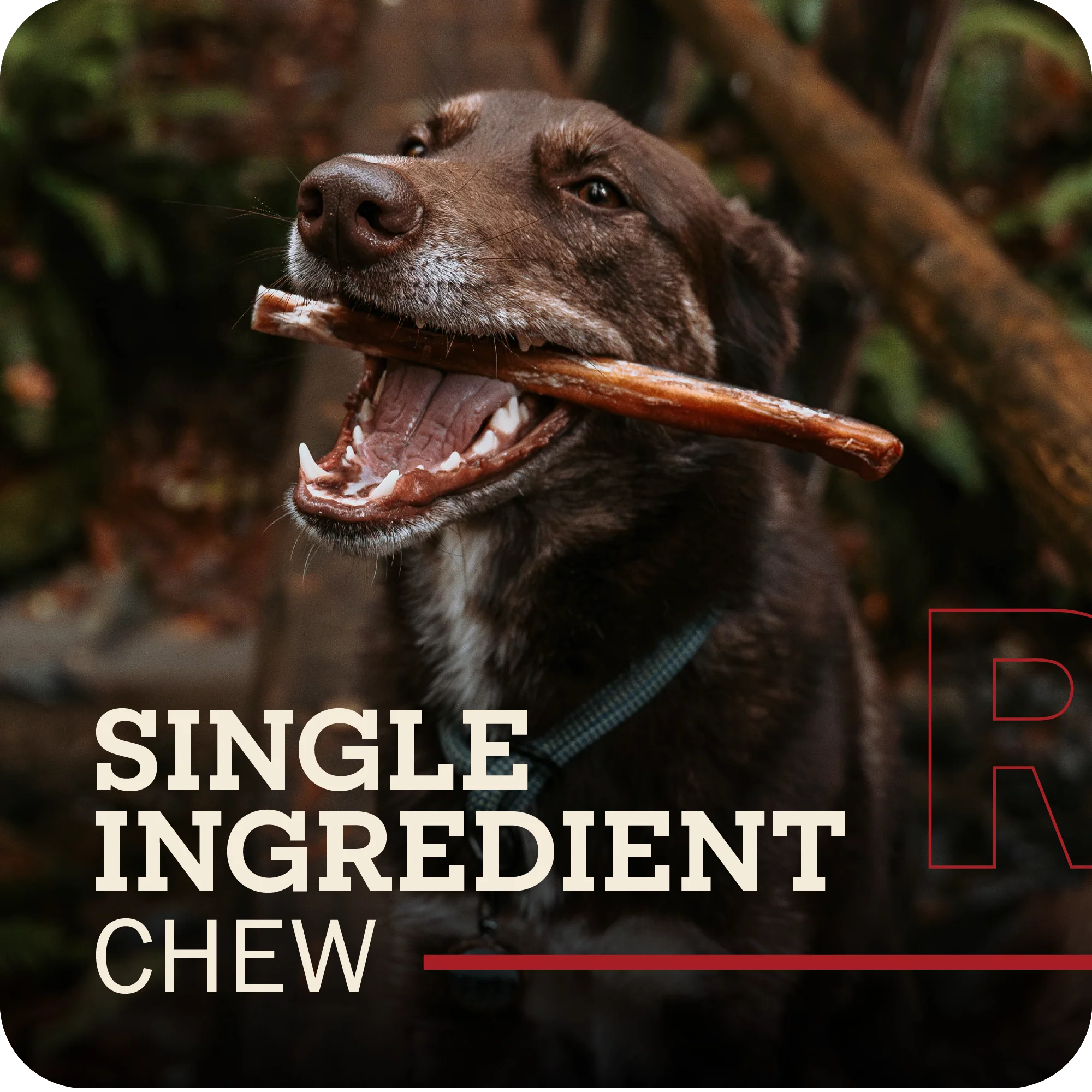 Redbarn - Bully Stick