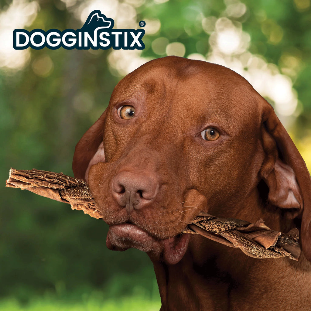 Dogginstix - Braided Beef Tripe