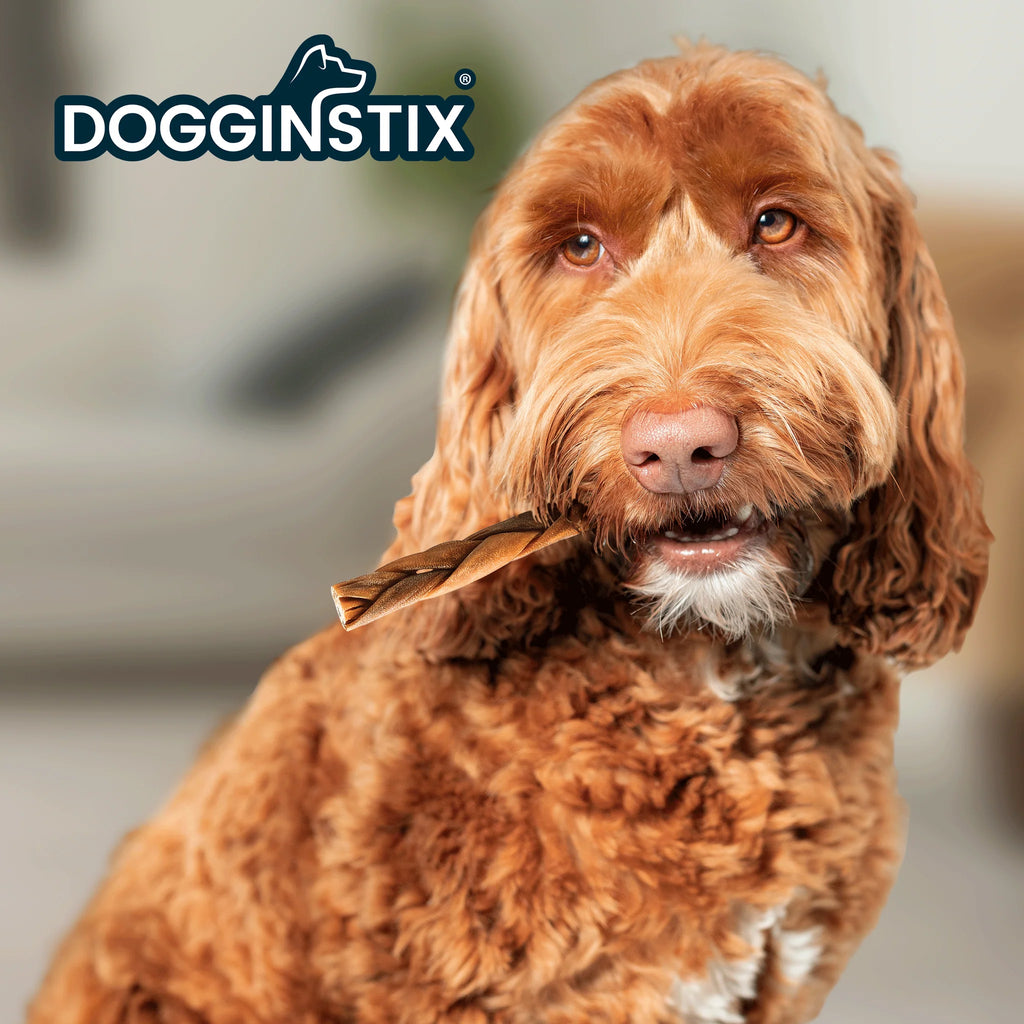 Dogginstix - Braided Lamb Collagen