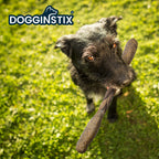 Dogginstix - Lamb Collagen Barbell