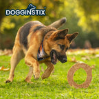 DOGGINSTIX - Lamb Collagen Cosmic Donut