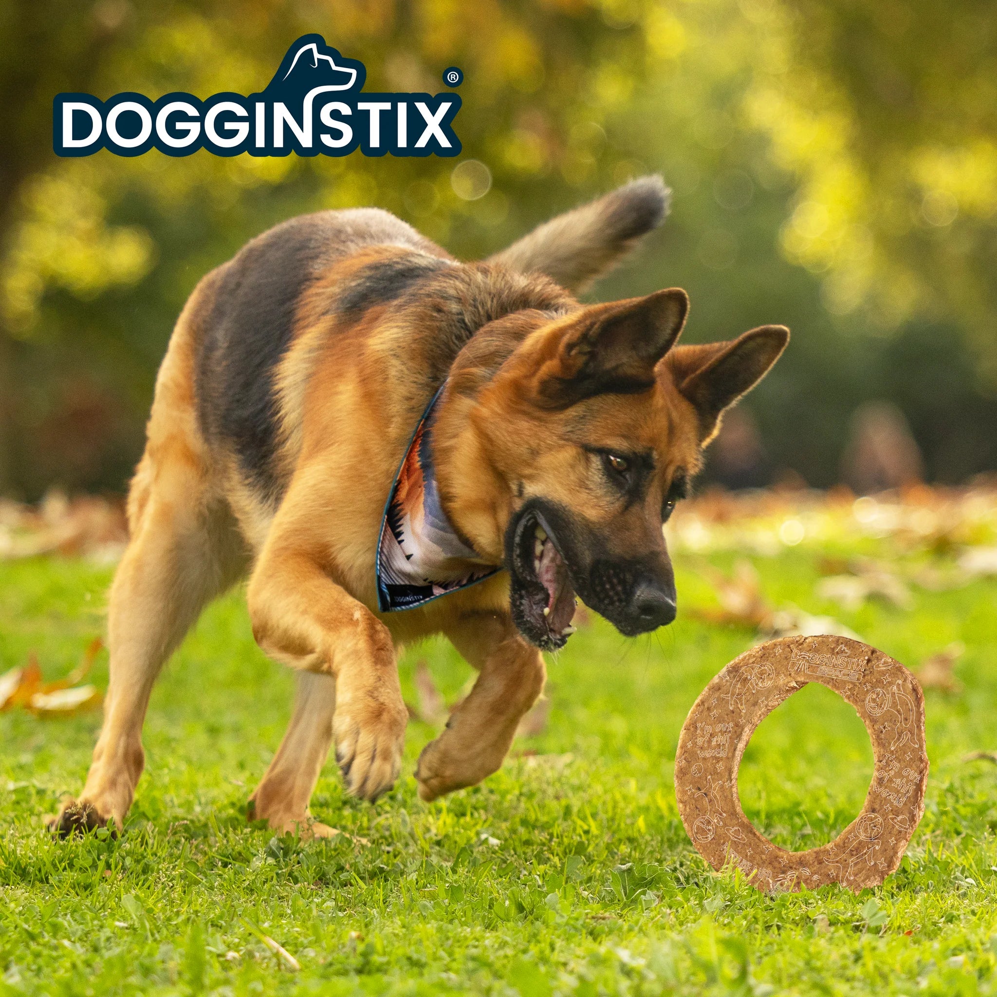 DOGGINSTIX - Lamb Collagen Cosmic Donut