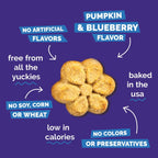 Fruitables - Skinny Minis - Pumpkin & Blueberry