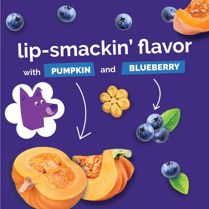 Fruitables - Skinny Minis - Pumpkin & Blueberry