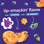 Fruitables - Skinny Minis - Pumpkin & Blueberry