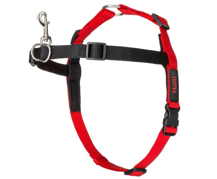Company of Animals - Halti Harness