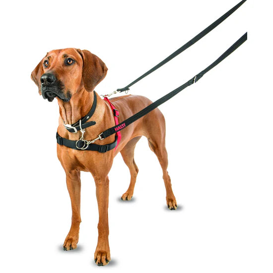 Company of Animals - Halti Harness