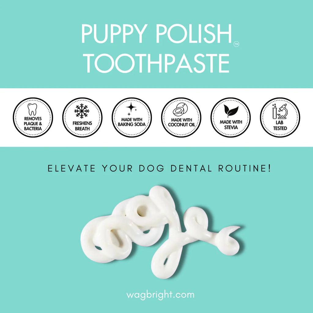 Wag & Bright- Natural Canine Toothpaste - Filet Mignon
