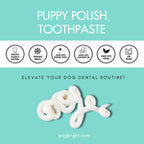 Wag & Bright- Natural Canine Toothpaste - Filet Mignon
