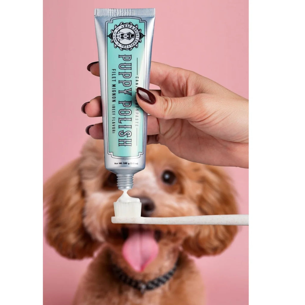 Wag & Bright- Natural Canine Toothpaste - Filet Mignon