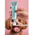 Wag & Bright- Natural Canine Toothpaste - Filet Mignon